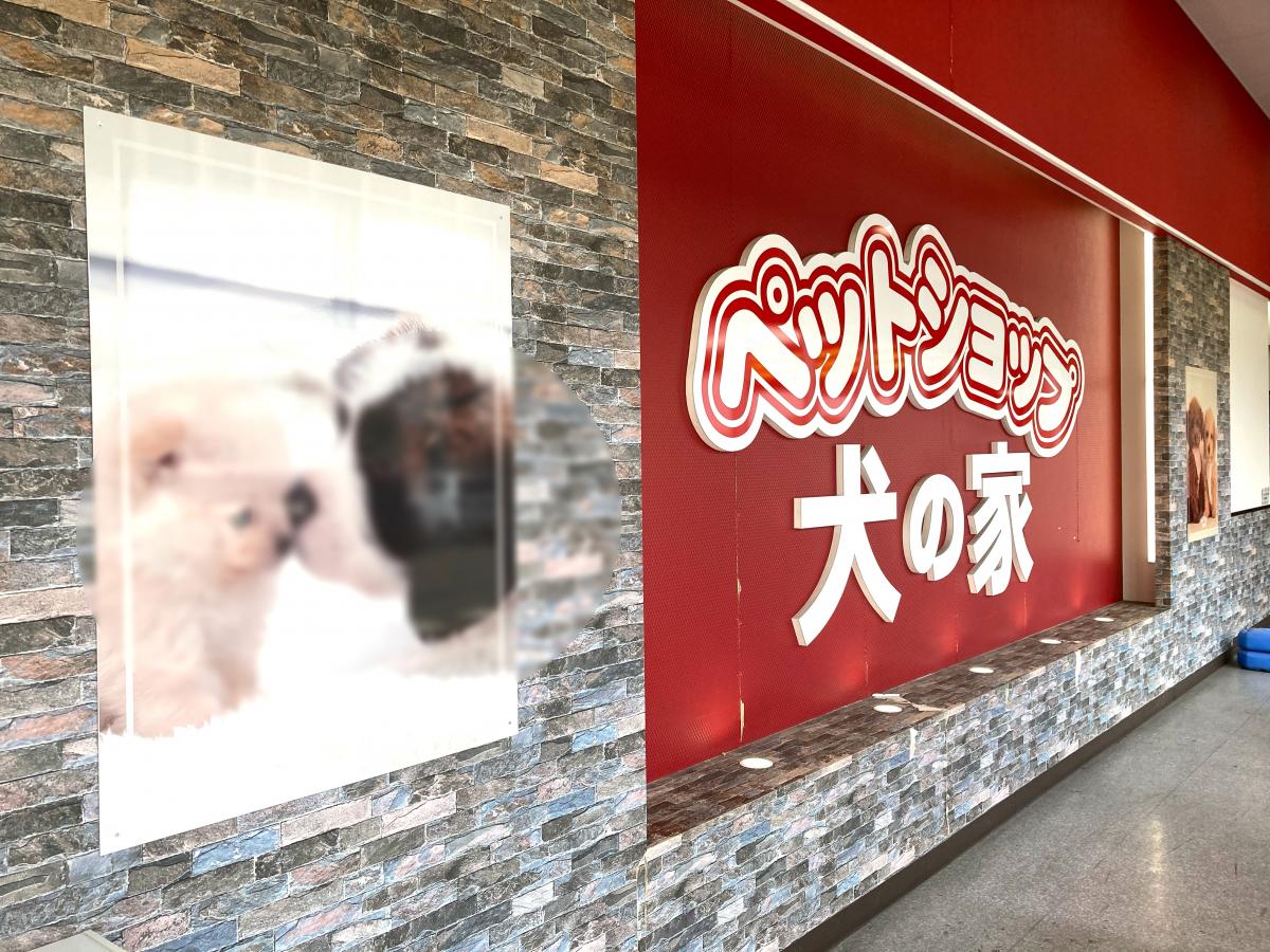 マーケットピア ペットショップ犬の家 ｍｅｇａドンキホーテ東海名和店