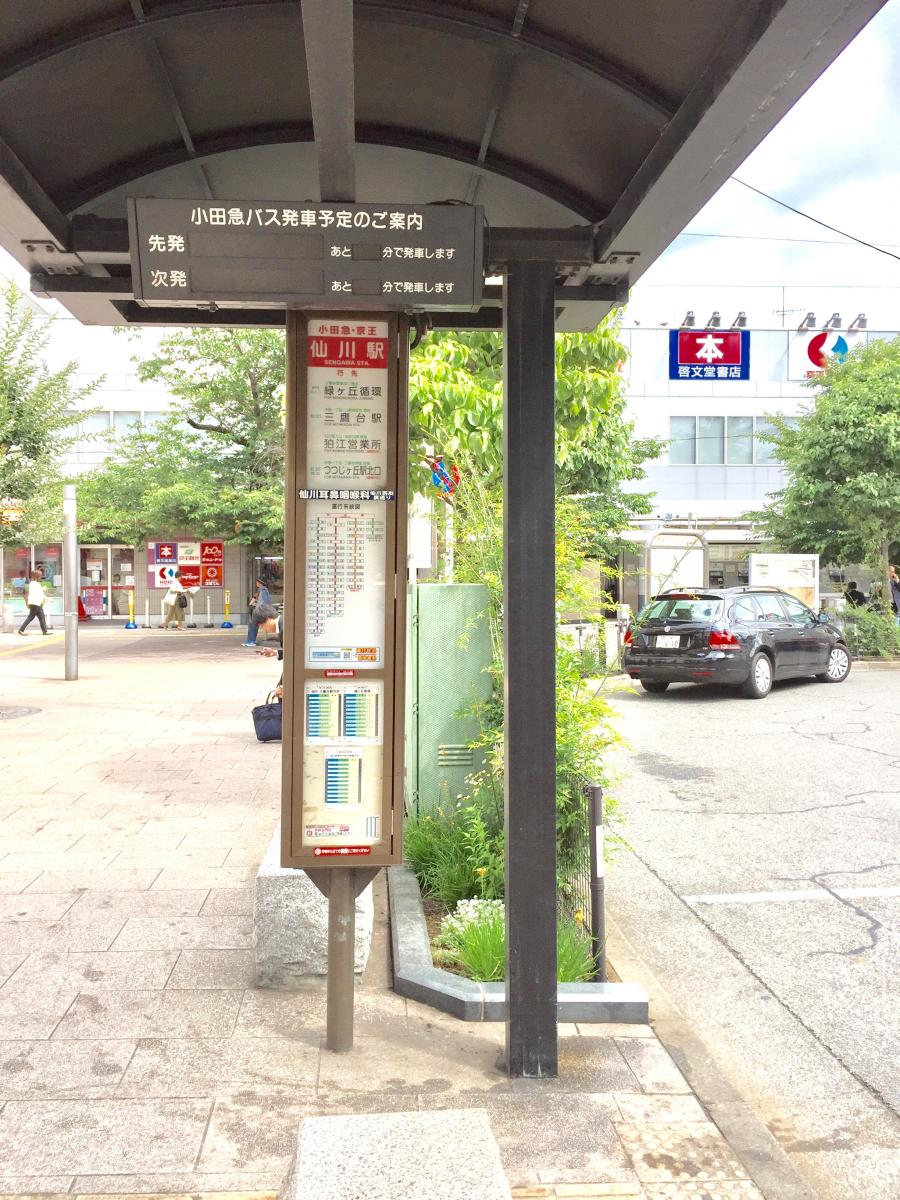 マーケットピア サンドラッグ 仙川店 調布市 周辺施設 口コミ 写真 動画