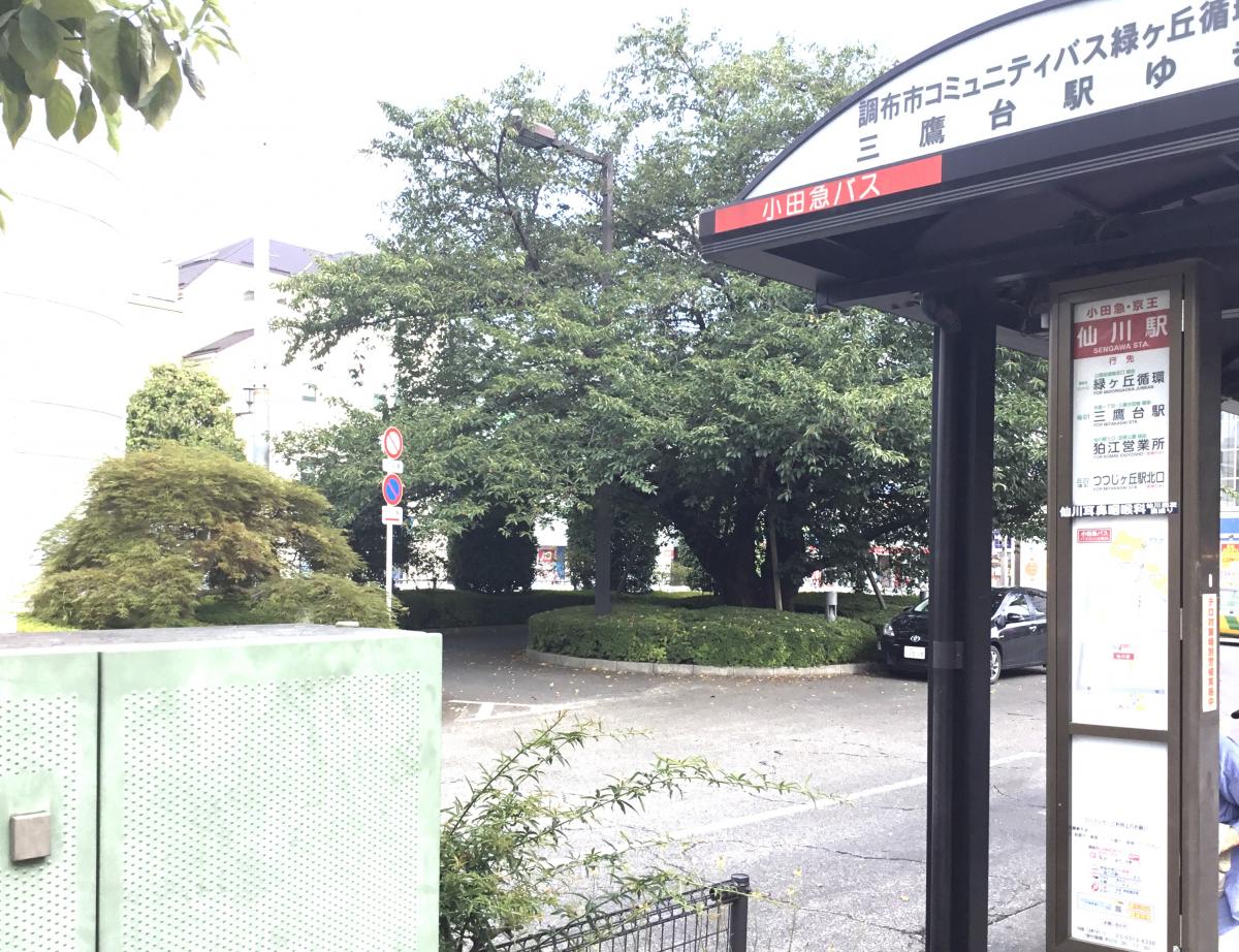 マーケットピア ミネドラッグ仙川中央店 調布市 周辺施設 口コミ 写真 動画