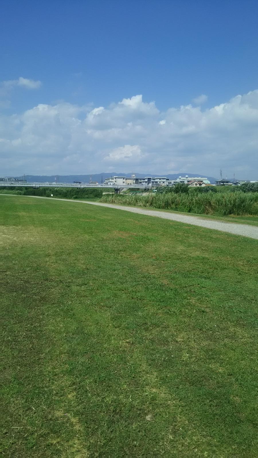 ホームメイト 藻川河川敷緑地 パブリネット ホームメイト 藻川河川敷緑地 パブリネット