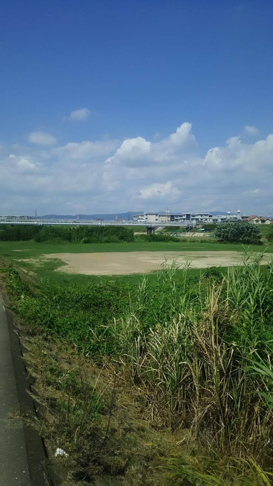 ホームメイト 藻川河川敷緑地 パブリネット ホームメイト 藻川河川敷緑地 パブリネット