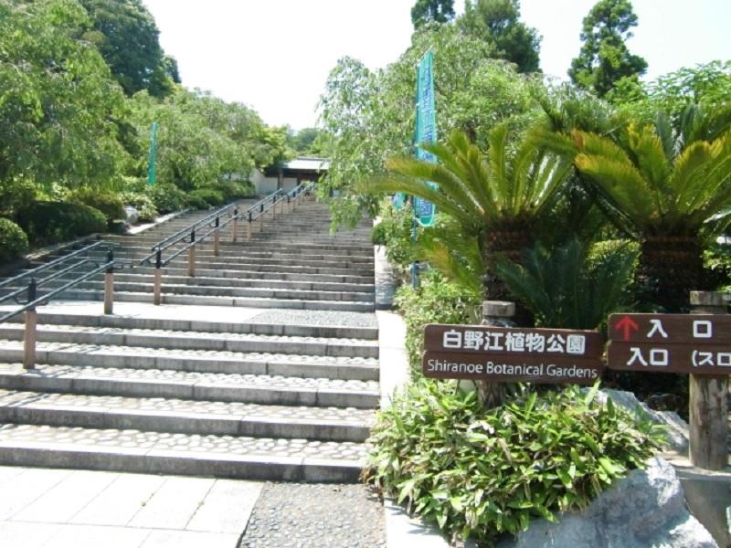 白野江植物公園