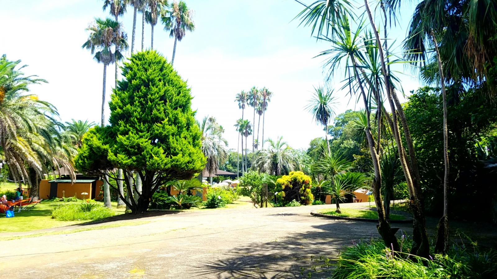 旅探 たびたん アジアンガーデン 初島アイランドリゾート内アジアンガーデンｒ ａｓｉａ 熱海市 のお気に入りコメント 口コミ