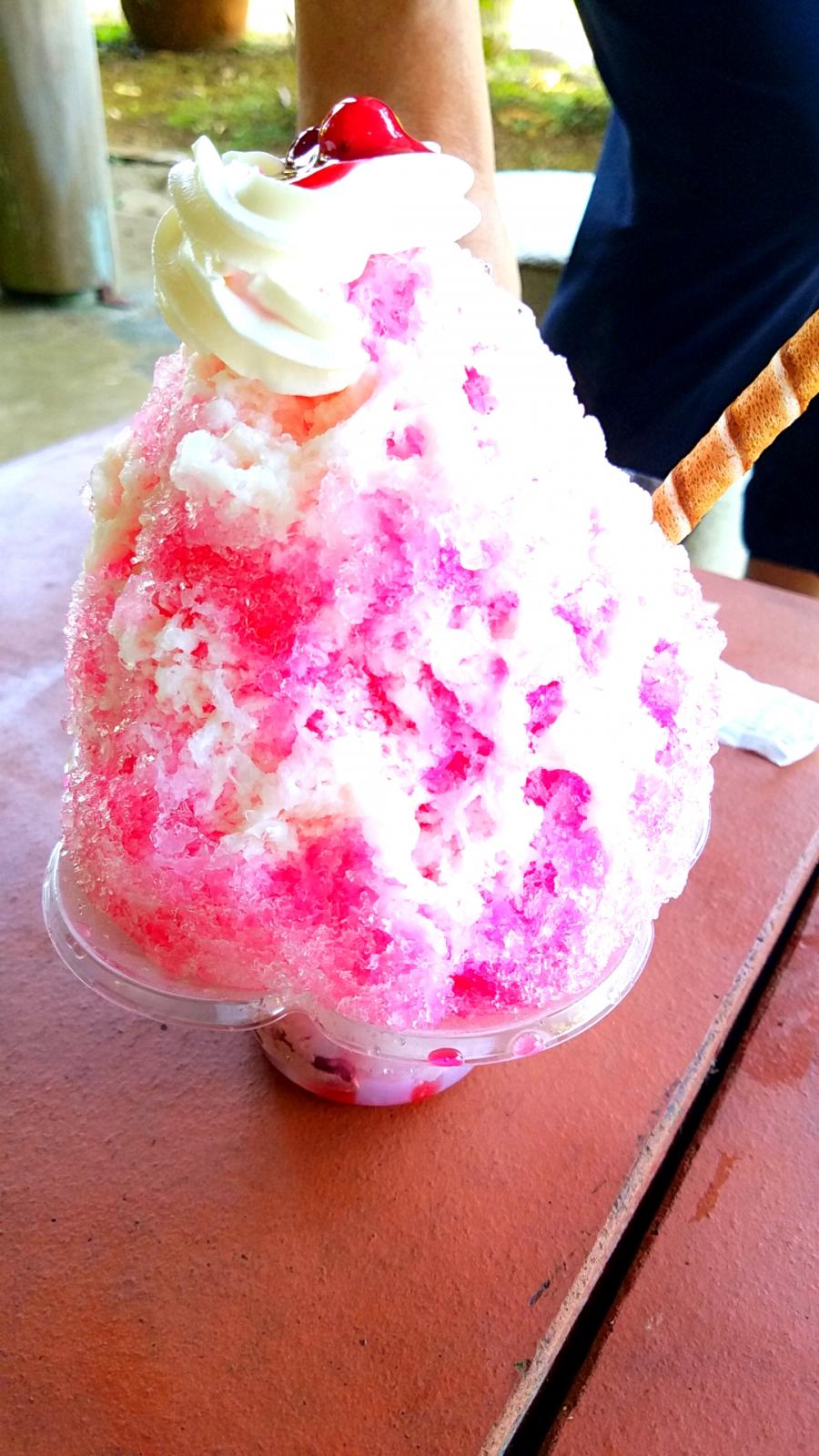 旅探 たびたん 初島アイランドリゾート内アジアンガーデンｒ ａｓｉａ 熱海市初島