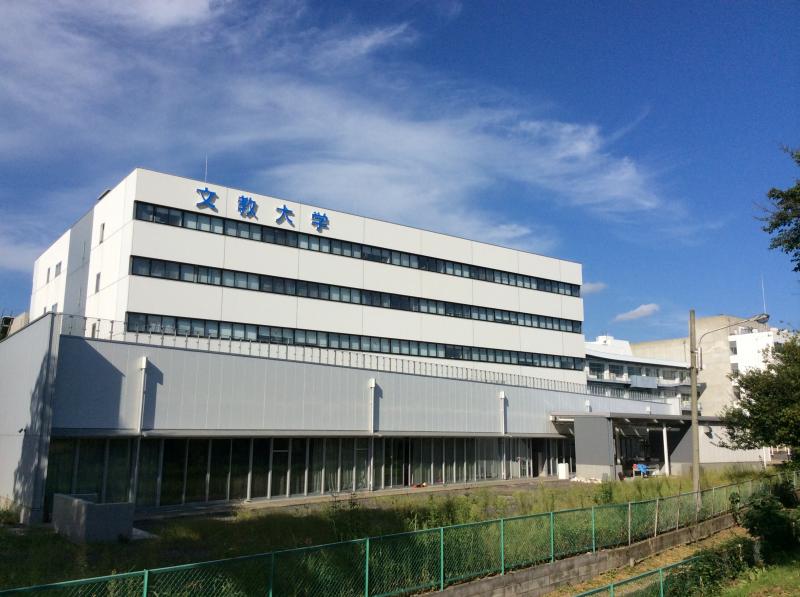 マーケットピア コジマ ビックカメラ 越谷店 越谷市 周辺施設 口コミ 写真 動画