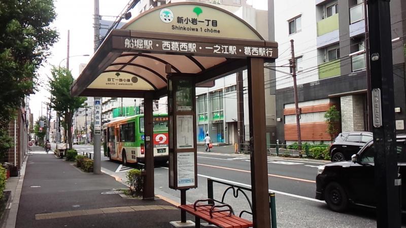 スタディピア 森塾 新小岩校 葛飾区 周辺施設 口コミ 写真 動画