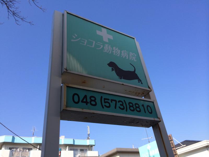 ドッグメディカル ショコラ動物病院 深谷市上柴町西