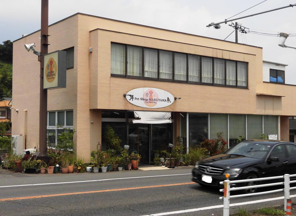 マーケットピア ペットショップ円山 天満屋ハピータウン 岡山市中区湊
