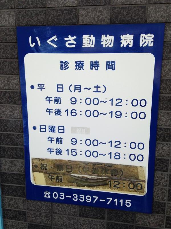 ドッグメディカル いぐさ動物病院 杉並区井草