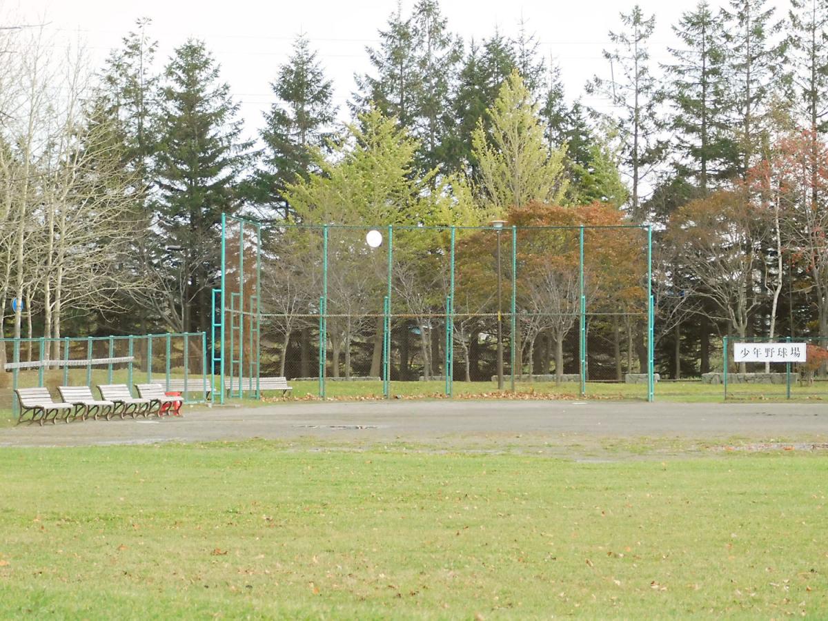 パブリネット あいの里公園 札幌市北区 周辺施設 口コミ 写真 動画