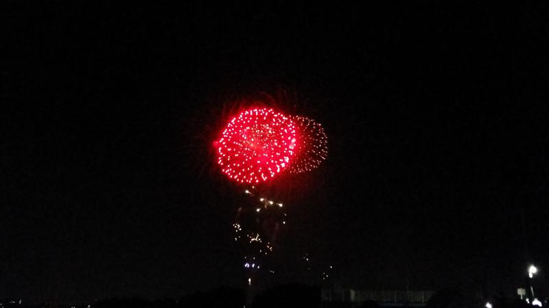 旅探 たびたん 市川市民納涼花火大会 旅探 たびたん 市川市民納涼花火大会