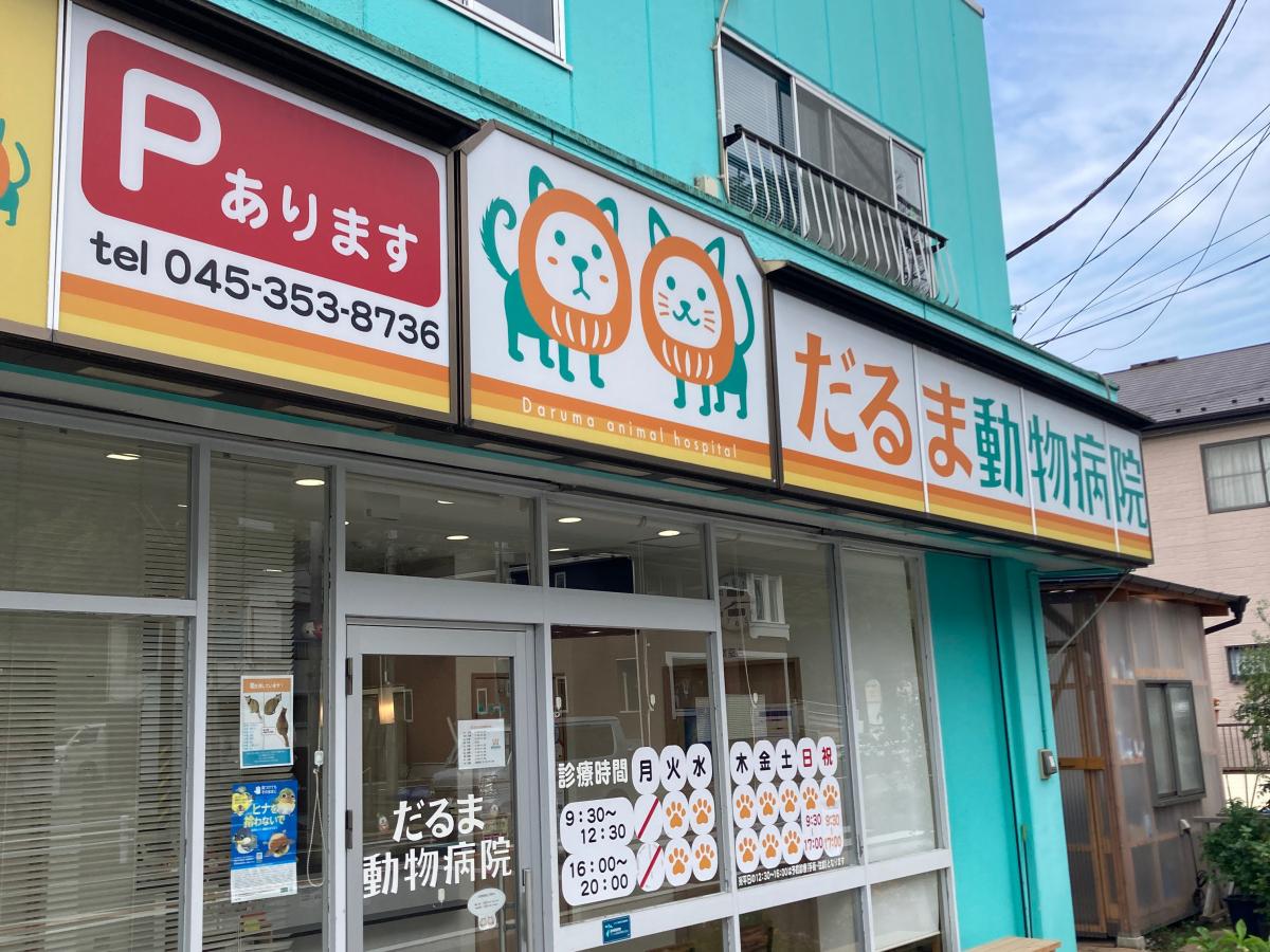 ドッグメディカル だるま動物病院