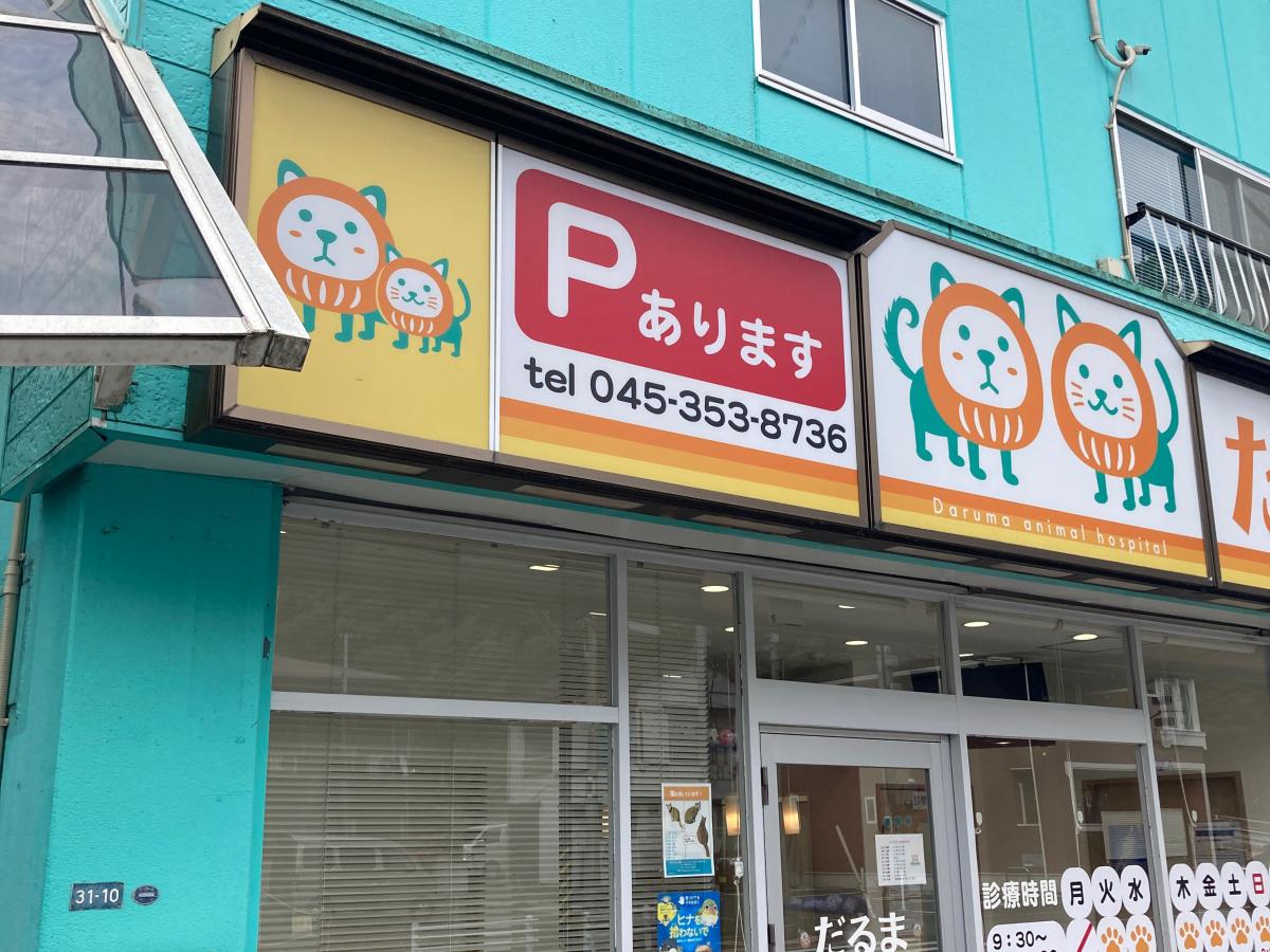ドッグメディカル だるま動物病院