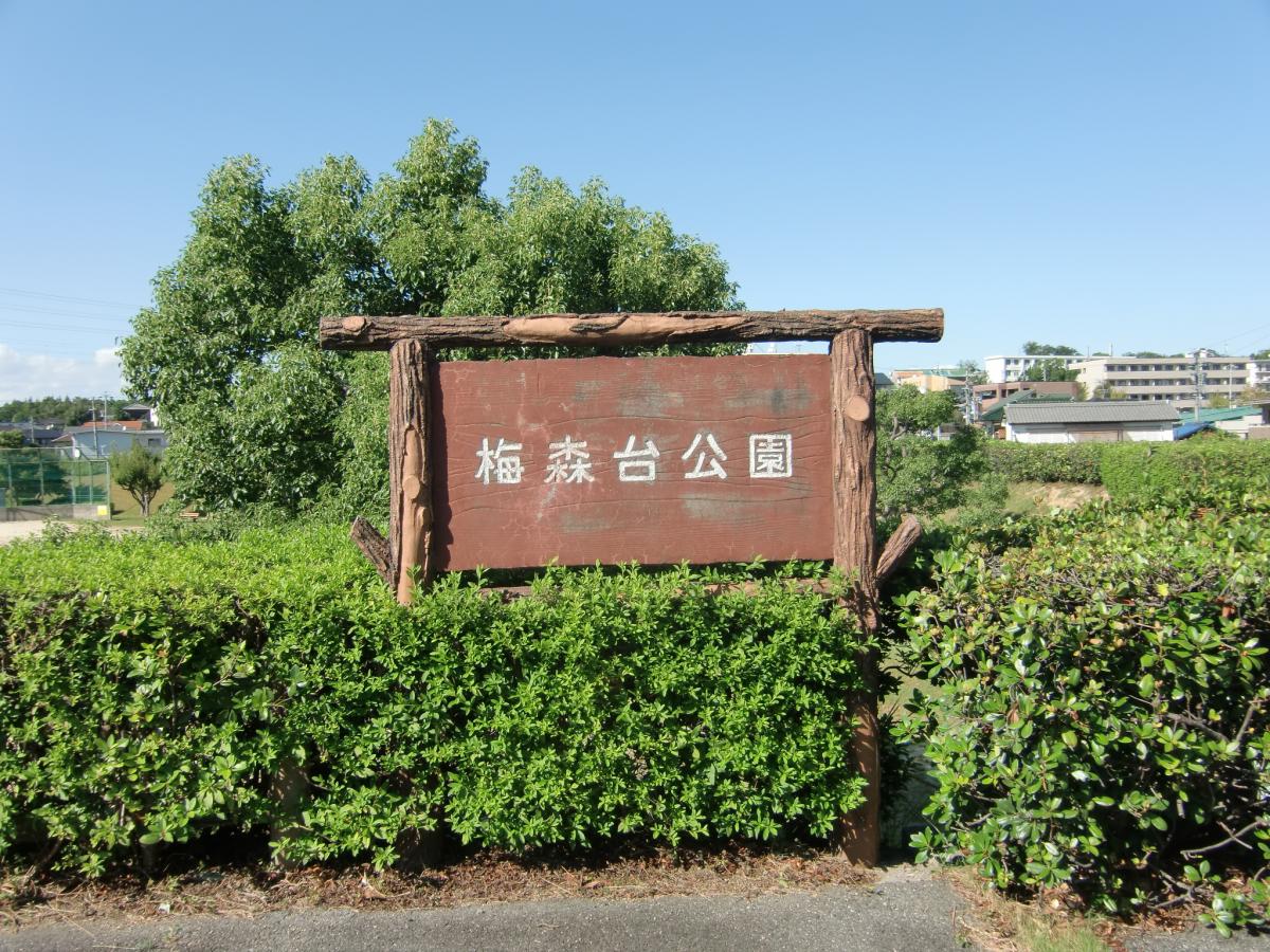 パブリネット 梅森台公園 日進市 の投稿写真一覧