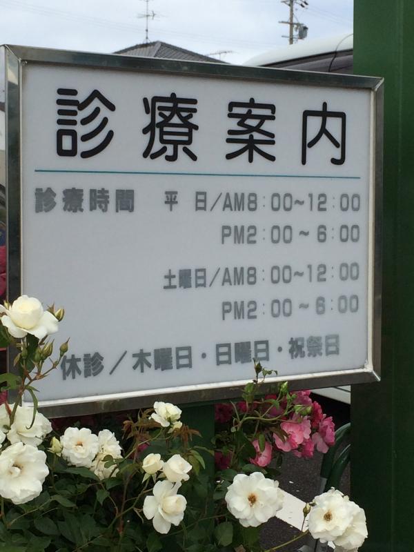 ドクターマップ えんどうこどもクリニック 牧之原市細江