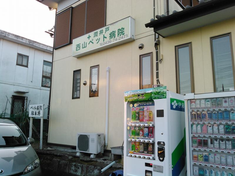 スタディピア 帝京平成大学千葉キャンパス 市原市 周辺施設 口コミ 写真 動画