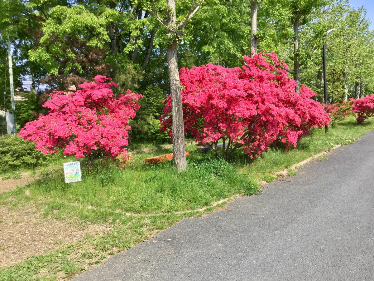 パブリネット 気仙沼公園 気仙沼市