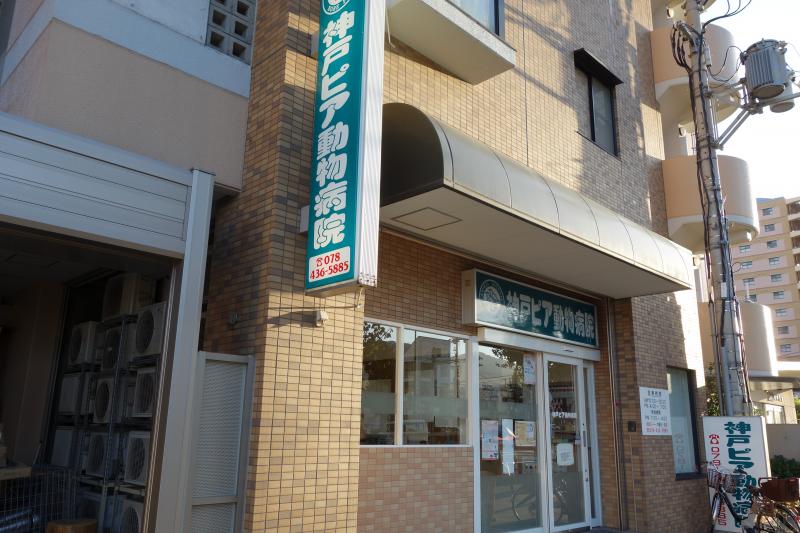 ドッグメディカル 神戸ピア動物病院 神戸市東灘区甲南町
