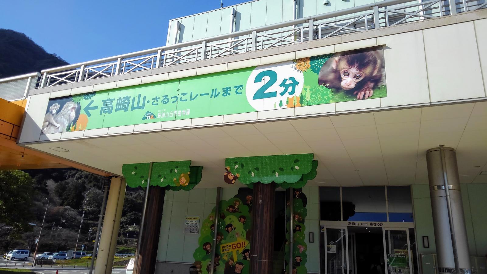 国立公園高崎山自然動物園