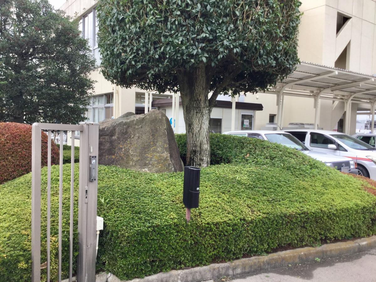 スタディピア 古河第一自動車学校 古河市関戸