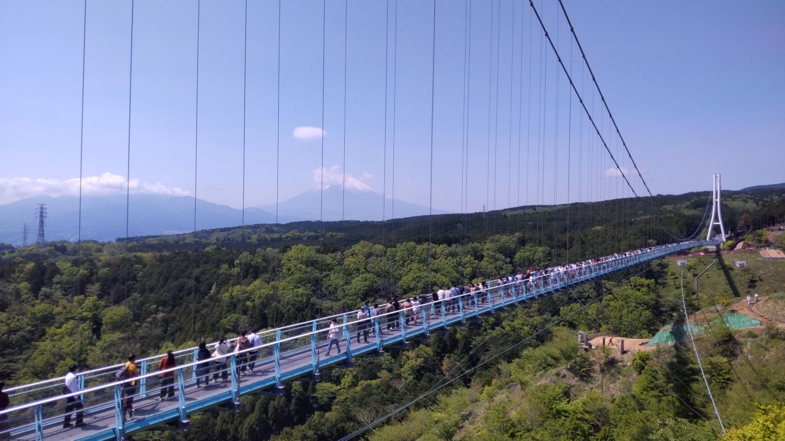 旅探 たびたん 口コミ 三島スカイウォーク 旅探 たびたん 口コミ 三島スカイウォーク