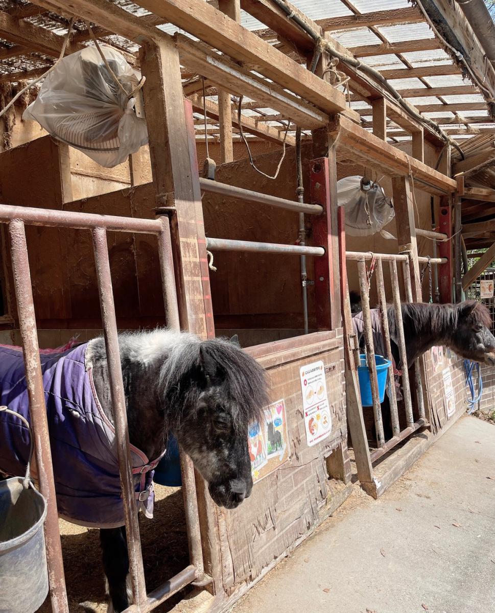 旅探 たびたん 愛知牧場のコメント一覧 1ページ