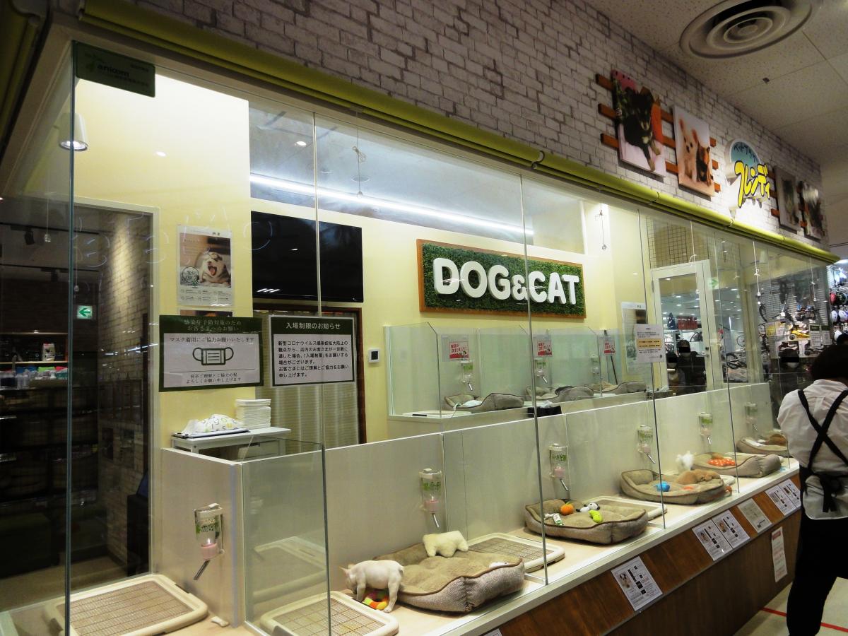 ユキサキナビ 日の出公民館 バス停留所 浦安市 周辺施設 口コミ 写真 動画