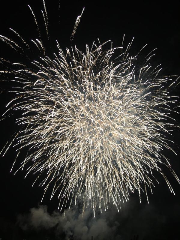 旅探 たびたん 関市民花火大会