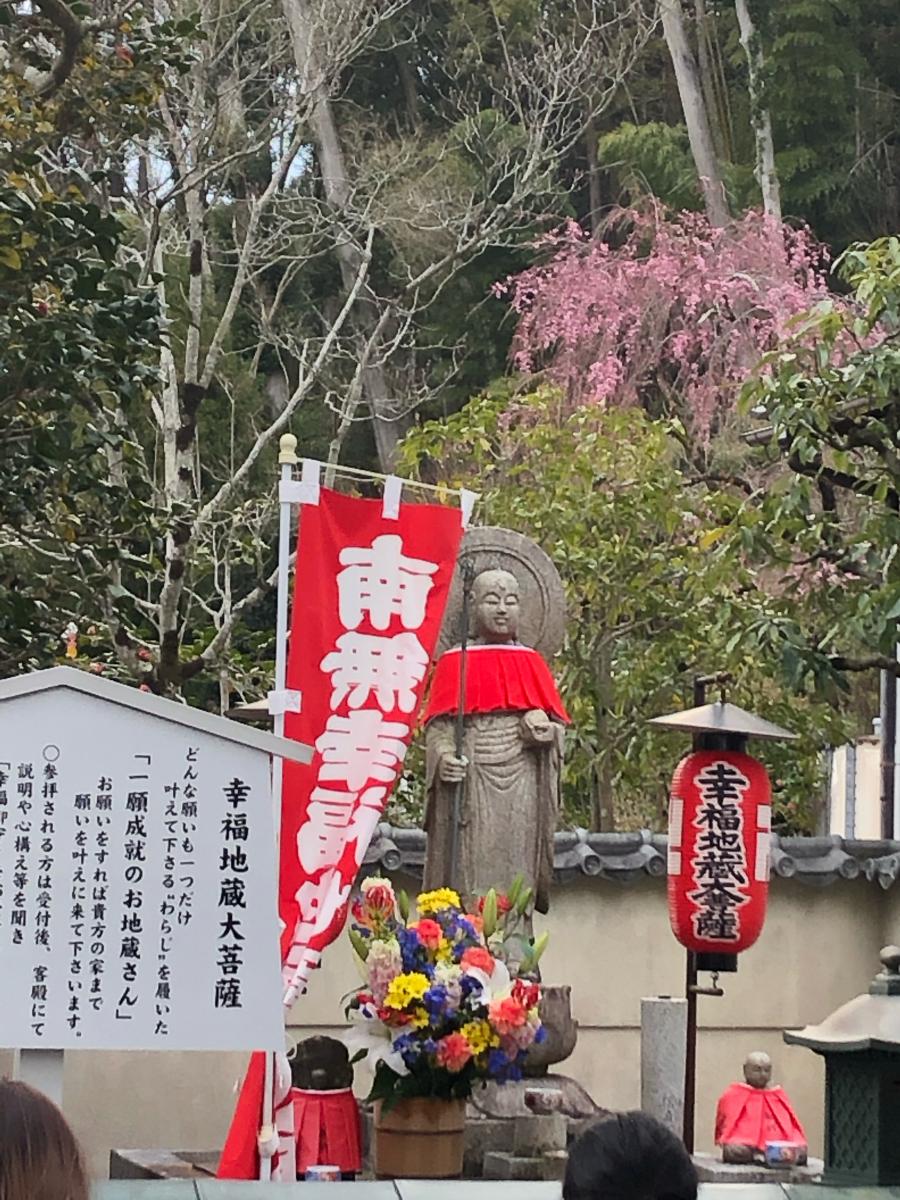旅探 たびたん 鈴虫寺 華厳寺 のコメント一覧 1ページ