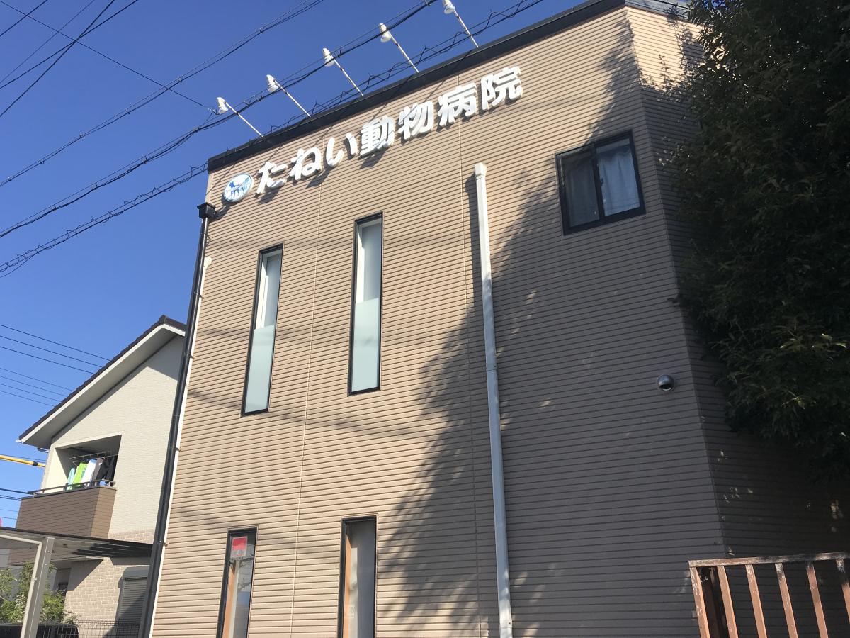 マーケットピア ワークマン 近江八幡店 近江八幡市 周辺施設 口コミ 写真 動画