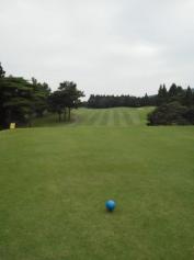 メテオ・スポーツプラザゴルフ／ホームメイト