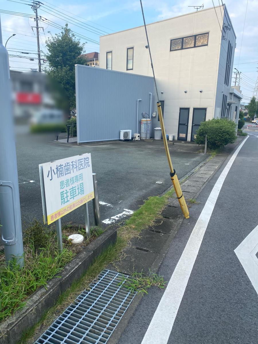 好評継続中 ハッピーひまわり畑の時計 小楠 画家 小楠 様 横井小楠 