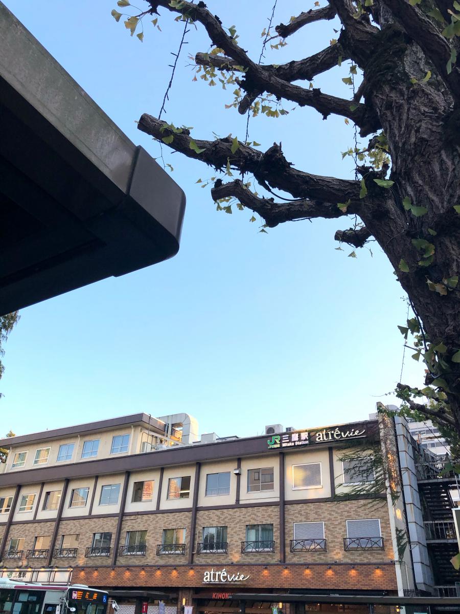 ユキサキナビ 立川駅の路線図 ｊｒ中央線