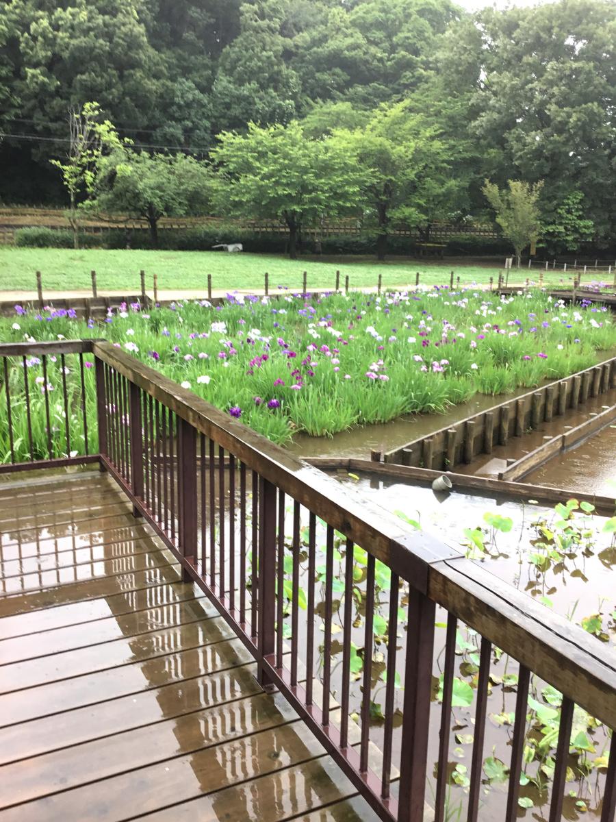 パブリネット 北山公園