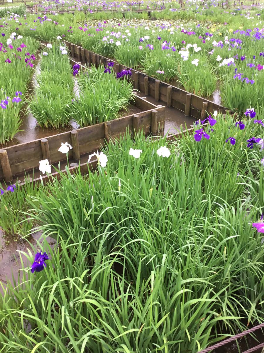 パブリネット 北山公園