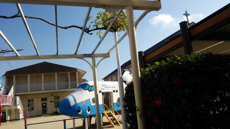 スタディピア 和歌山信愛女子短大附属幼稚園 和歌山市屋形町