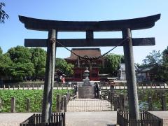 旅探(たびたん)】松應寺(岡崎市松本町)