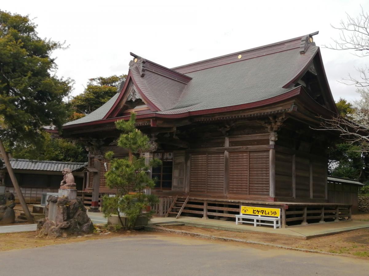 玉崎神社の投稿写真一覧/ホームメイト