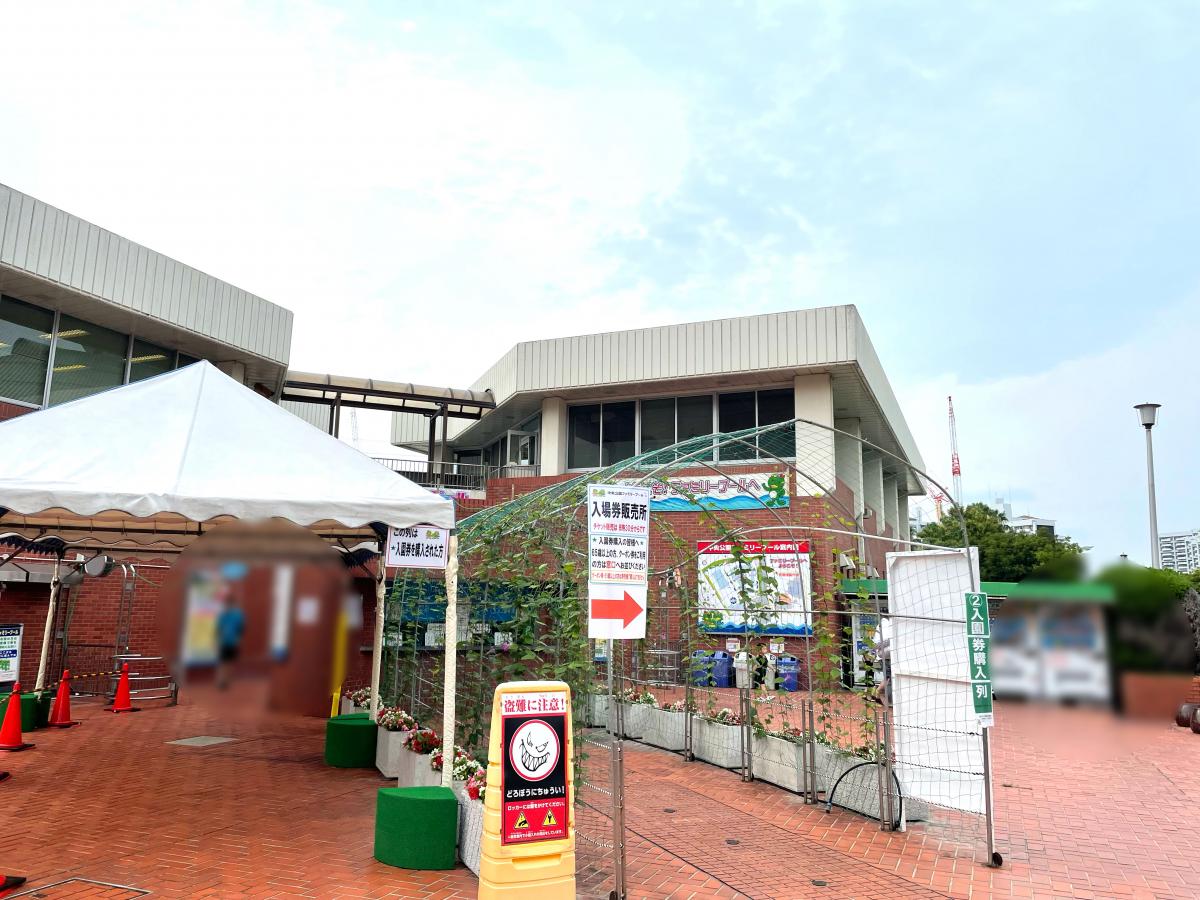 スポランド 中央公園ファミリープール