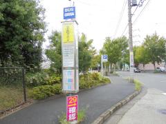 ドッグメディカル すすきの動物病院 横浜市青葉区 の周辺施設写真一覧 1ページ