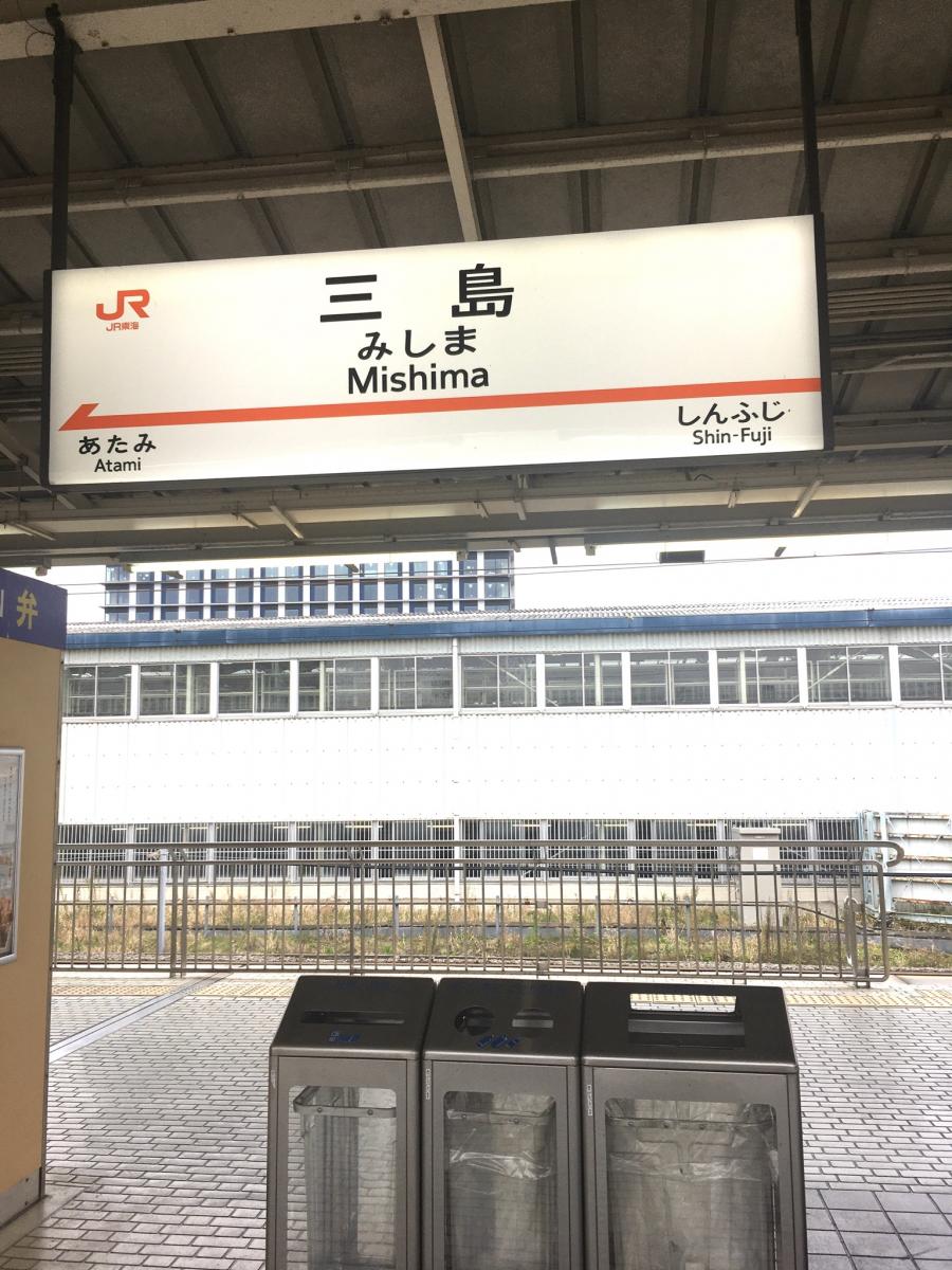保険の玉手箱