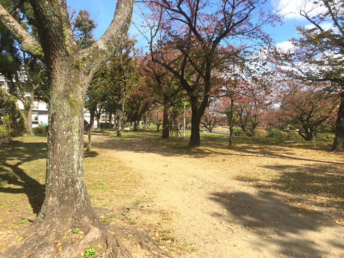 パブリネット 平和市民公園 大分市萩原