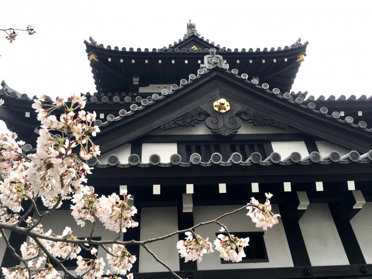 スポランド 上越市営陸上競技場 上越市 周辺施設 口コミ 写真 動画