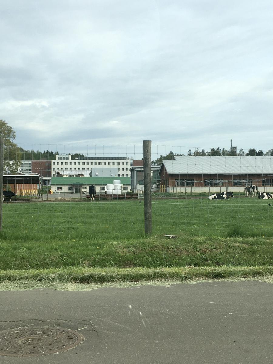 ユキサキナビ 酪農学園前 バス停留所 江別市 周辺施設 口コミ 写真 動画