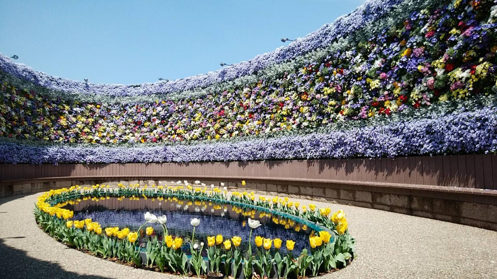 旅探 たびたん ラグナシアのフラワーラグーン ラグーナテンボス ラグナシア 蒲郡市 のお気に入りコメント 口コミ