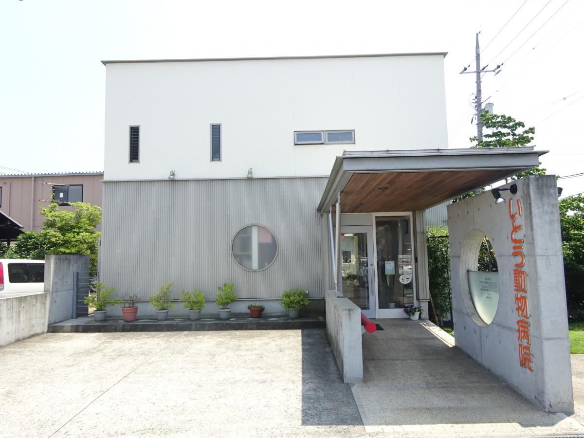 【ドッグメディカル】いとう動物病院（岡山市中区藤崎）