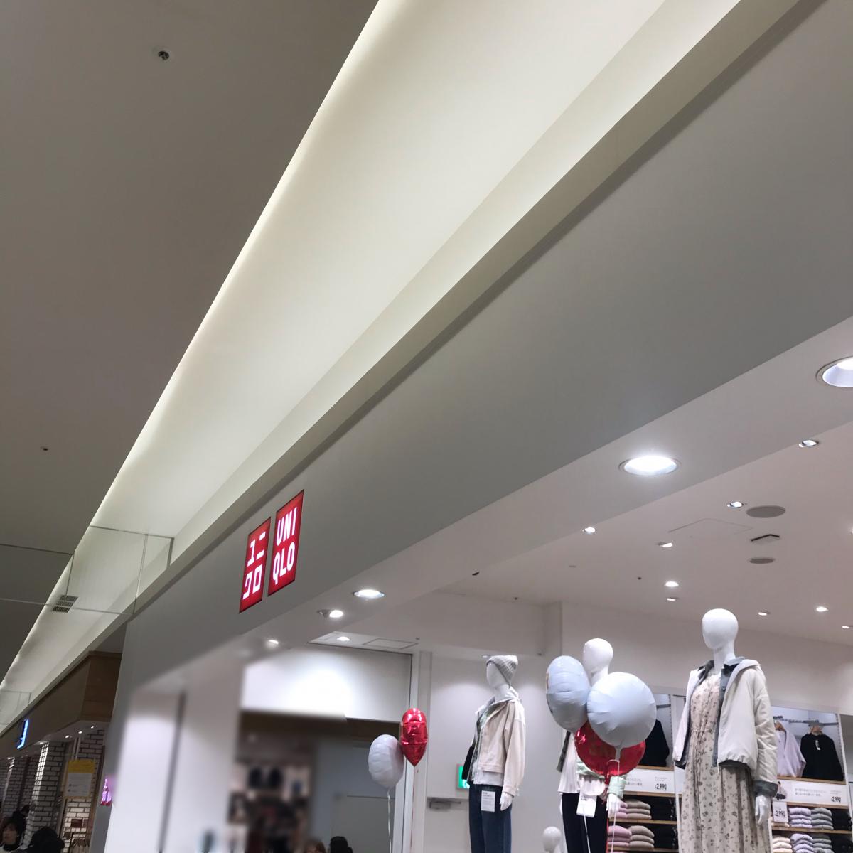 マーケットピア キャンドゥ 京阪くずは店 枚方市 周辺施設 口コミ 写真 動画