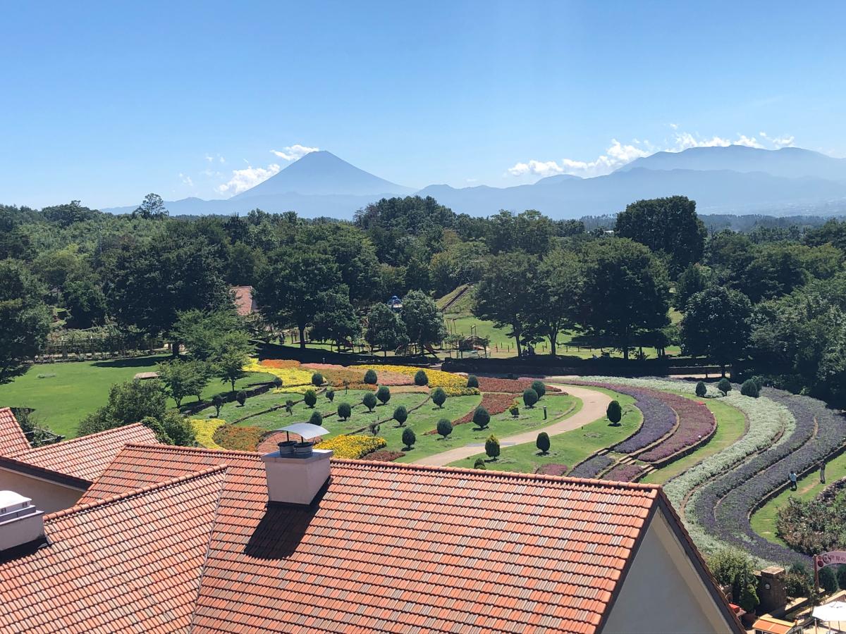 旅探 たびたん フラワーセンター ハイジの村 花と星空のテーマビレッジのコメント一覧 1ページ 旅探 たびたん フラワーセンター ハイジの村 花と星空のテーマビレッジのコメント一覧 1ページ