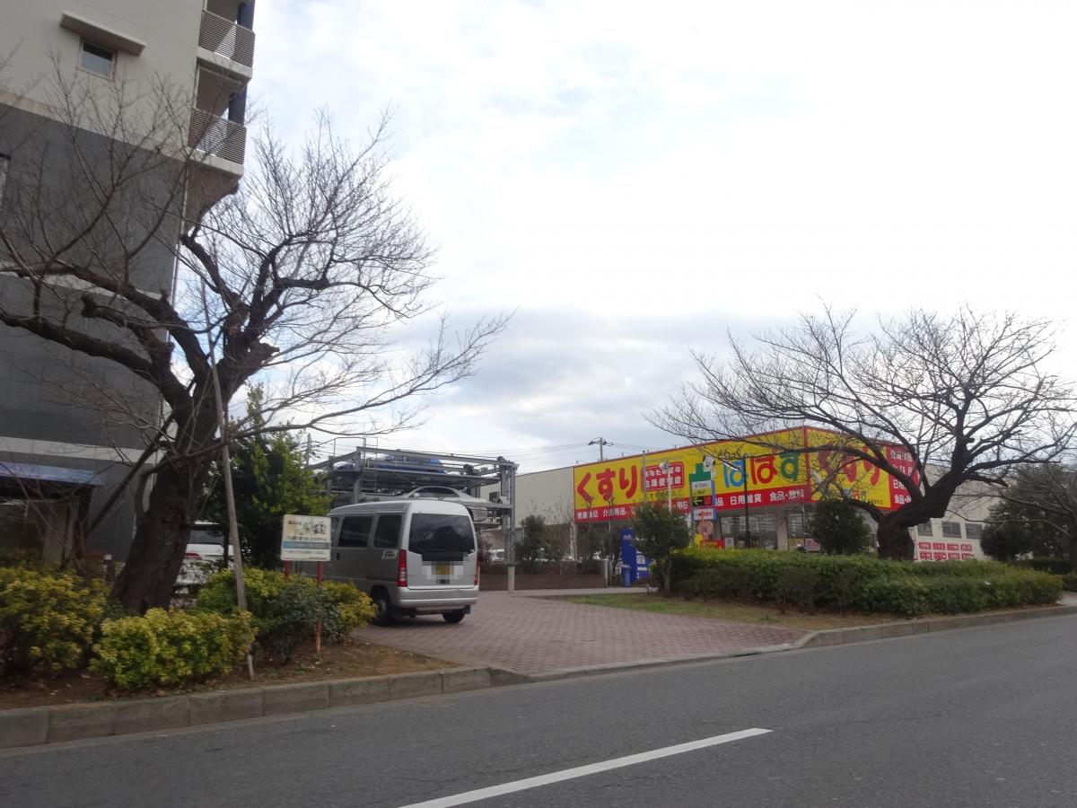 どらっぐぱぱす赤塚新町店/ホームメイト どらっぐぱぱす赤塚新町店/ホームメイト