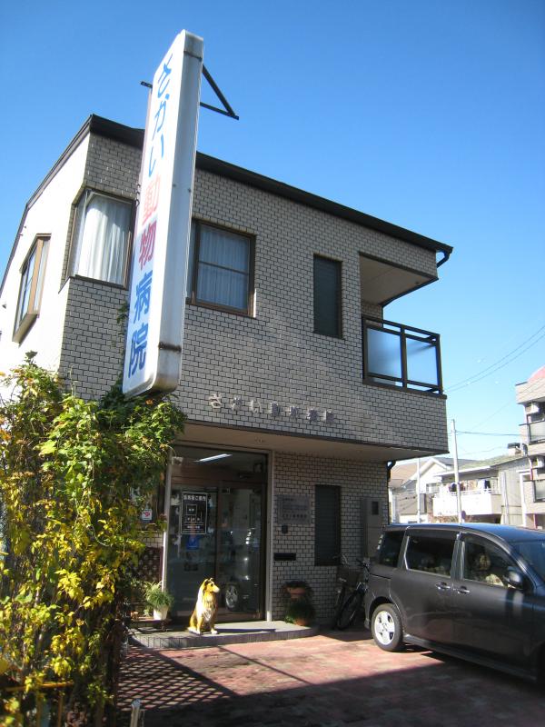 ドッグメディカル さかい動物病院 名古屋市北区清水